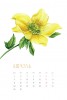 Перекидной календарь "Цветы" 370x560мм