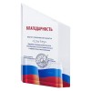Награда "Взлет" 12,8х18х2см акрил