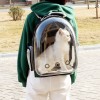 Рюкзак-переноска для животных 42х34х25 см