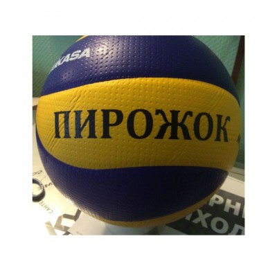 Волейбольные мячи с логотипом