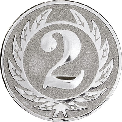 Вставка в медаль, 50 мм серебро