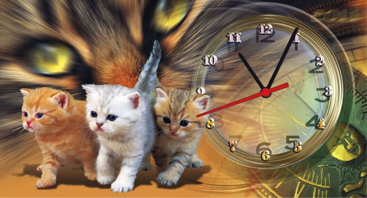 "Пушистые коты" Календарь квартальный с часами-макси
