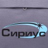 Сумка спортивная 47х23x22см серая