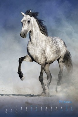 Перекидной календарь "Сны о лошадях" 370x560мм