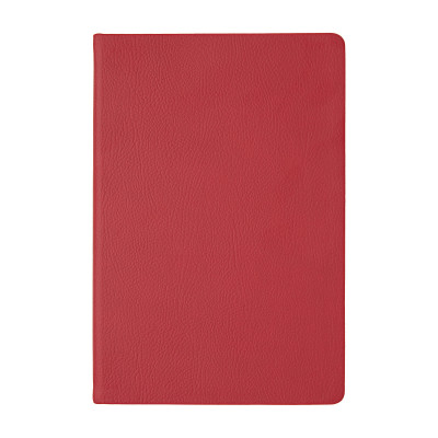 Ежедневник BrunoVisconti А5 "MEGAPOLIS NAPPA COLOR" бордовый