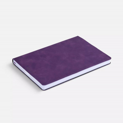 Ежедневник недатированный А5, клетка, фиолетовый